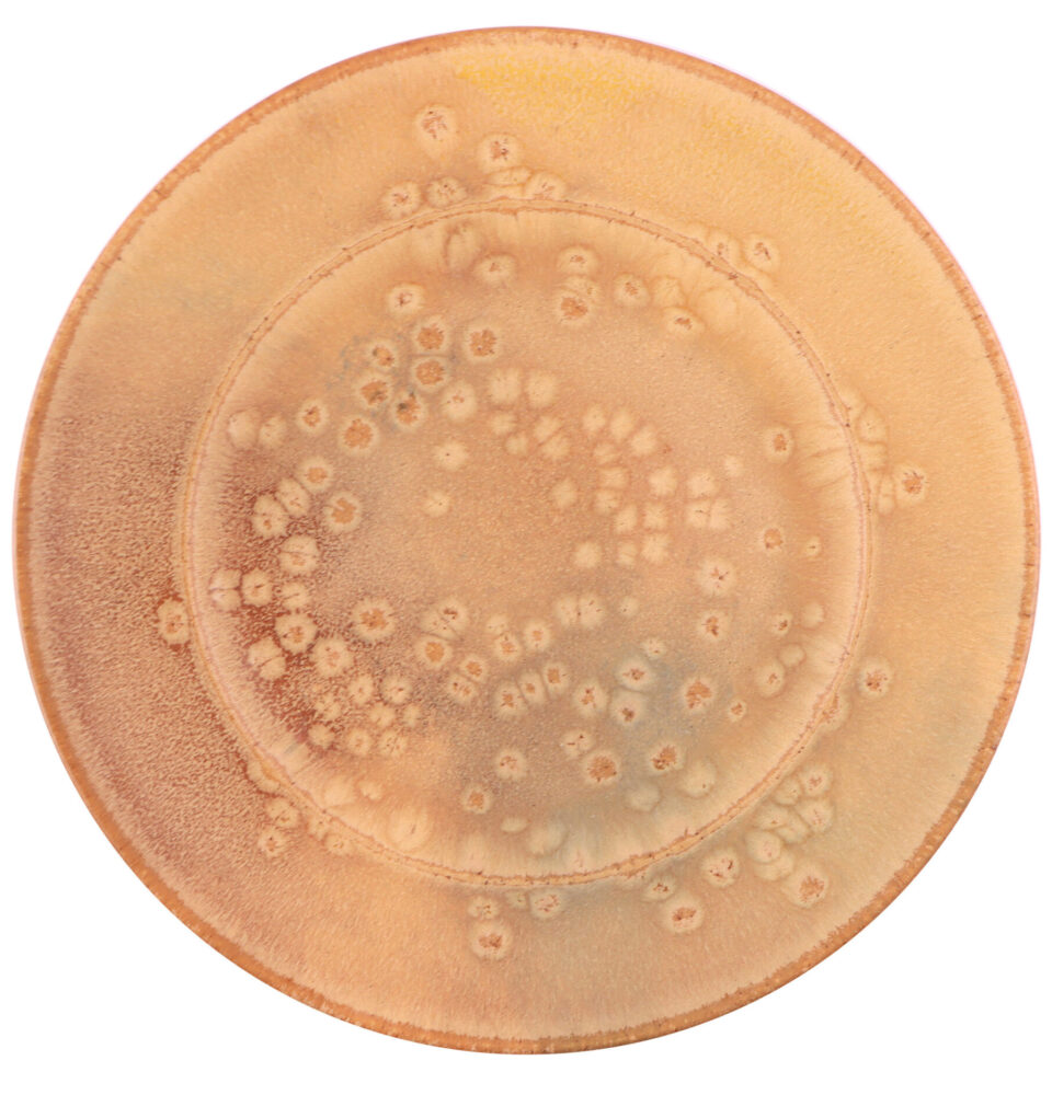 Rondo Dinner plate 28 Canela